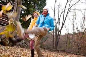 自動車の鈑金修理をモドーリーで対応
