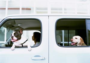 便利なみよし市車検活用の手順とは